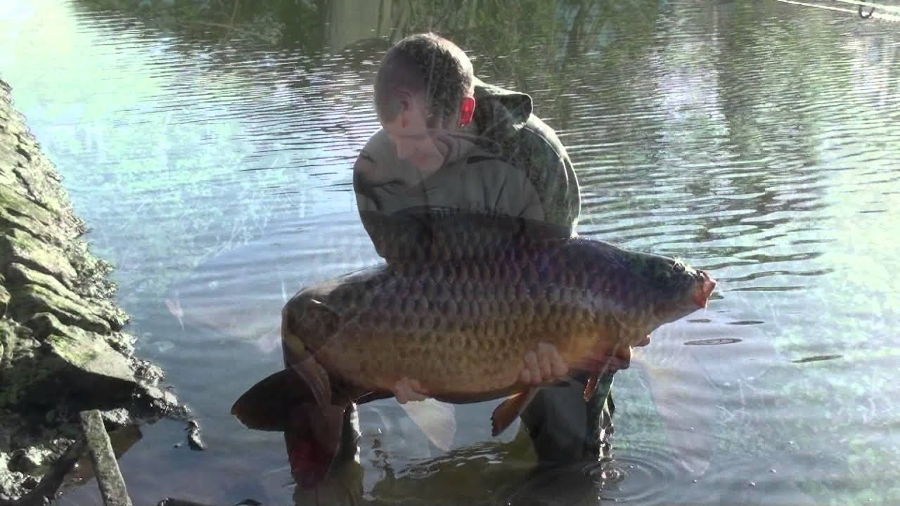 Dream Baits : Bockie on tour
