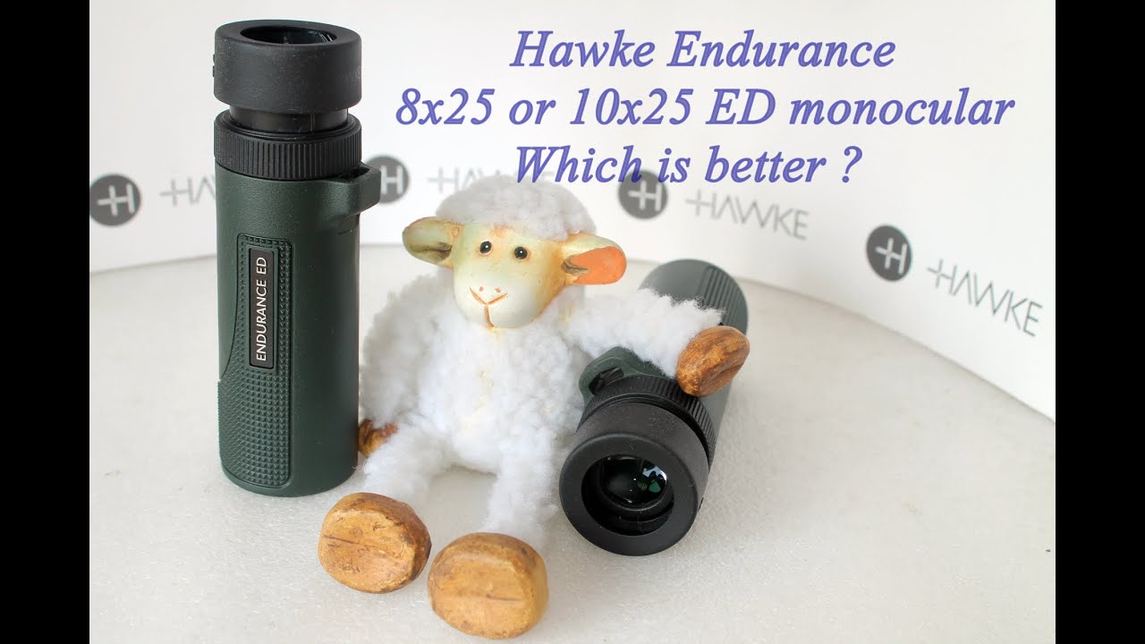 Монокуляр Hawke Endurance ED 8x25 или 10x25. Какой выбрать?