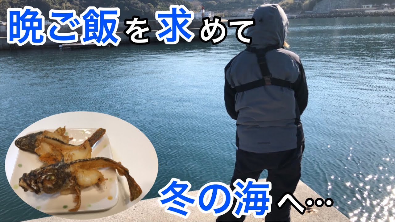 カサゴの唐揚げが食べたくなったのでライトゲームに行ってきた