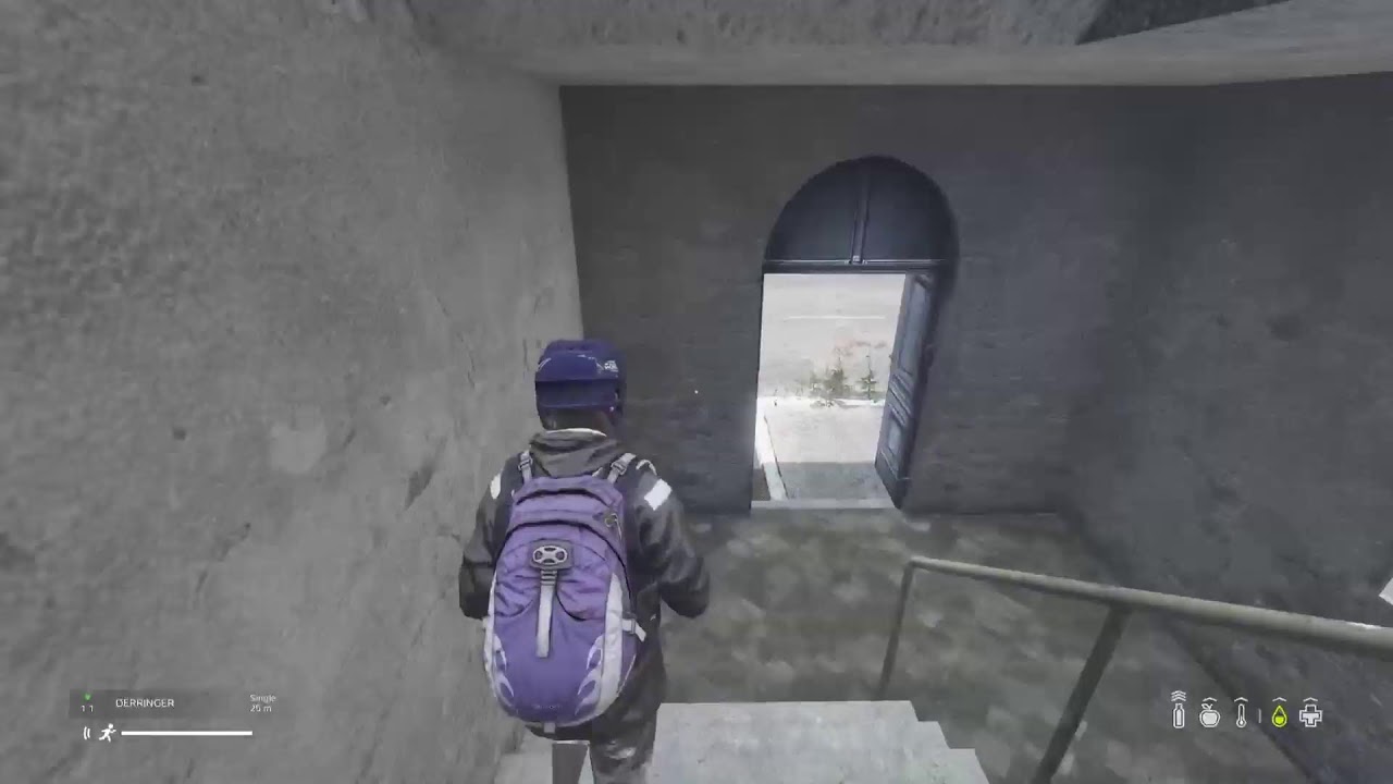 DayZ - (LIVE STREAM)