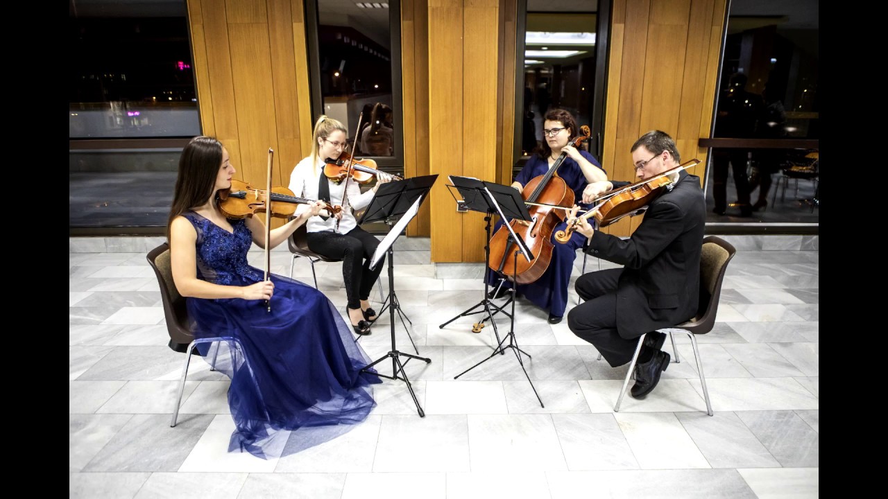 Antonio Vivaldi: Čtvero ročních dob, Zima - Largo - Královéhradecké kvarteto