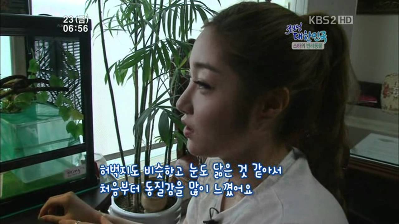 110923 HD Nine Muses Sera introduces her Chameleon Mingy ヽ( ｀∇´ )ノ