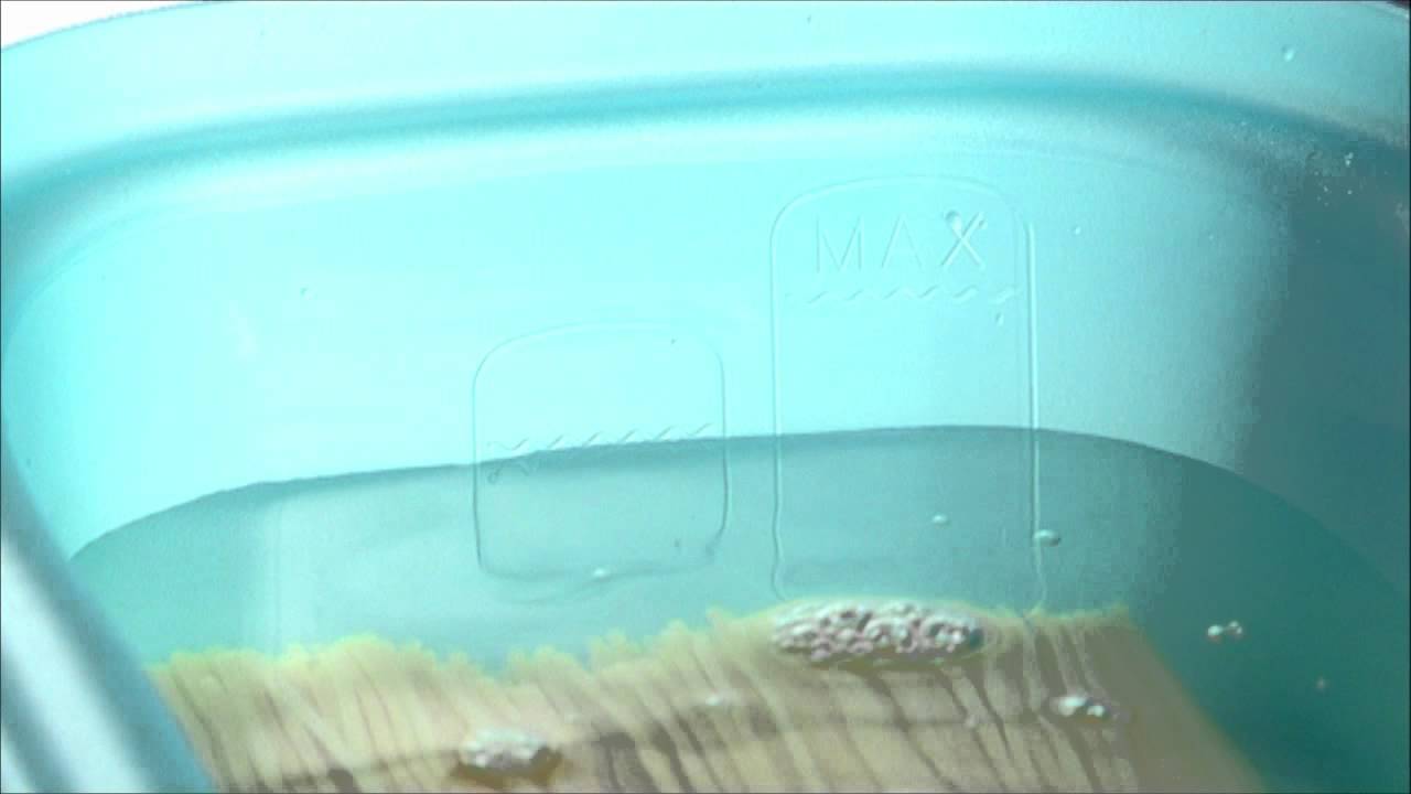 Tupperware® Microwave Pasta Maker