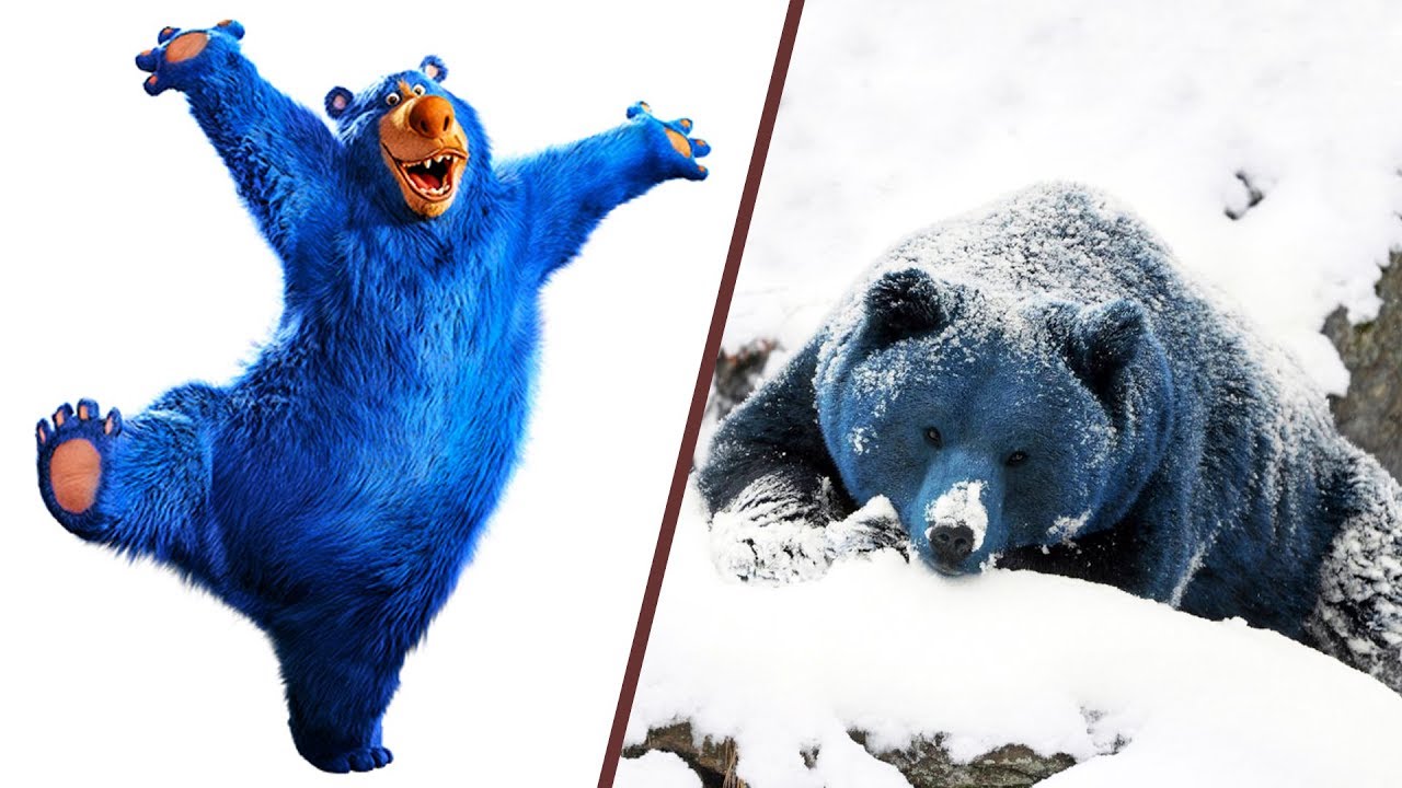 Wonder Park in Real Life! Main Characters