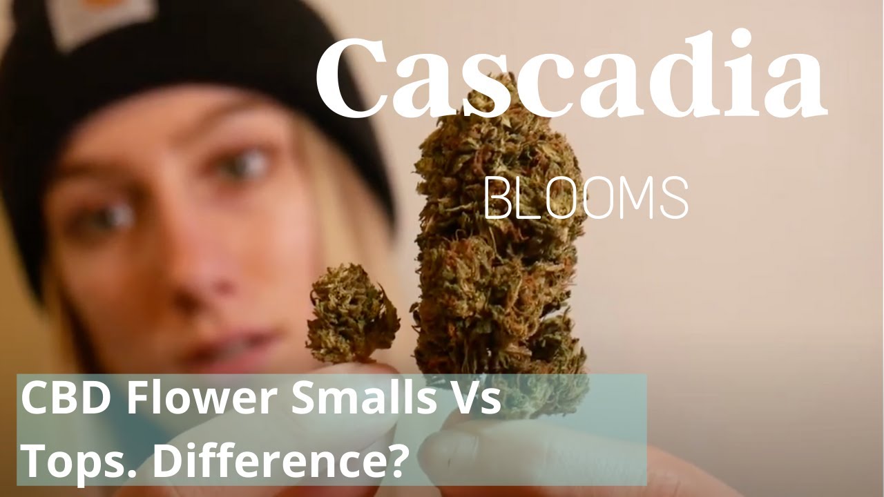 CBD Flower Smalls vs Tops (What's The Difference?)