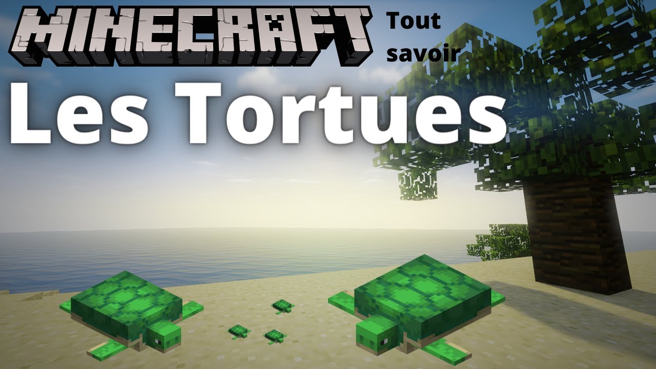 Minecraft : tout savoir sur les Tortues !