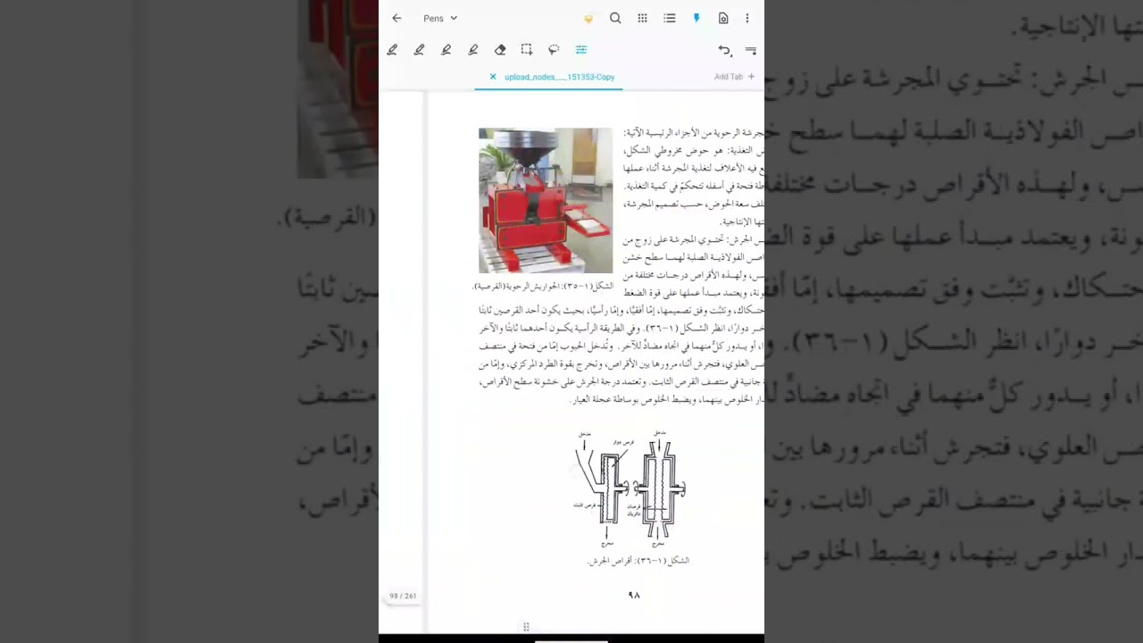 الفصيلة الرامرامية 