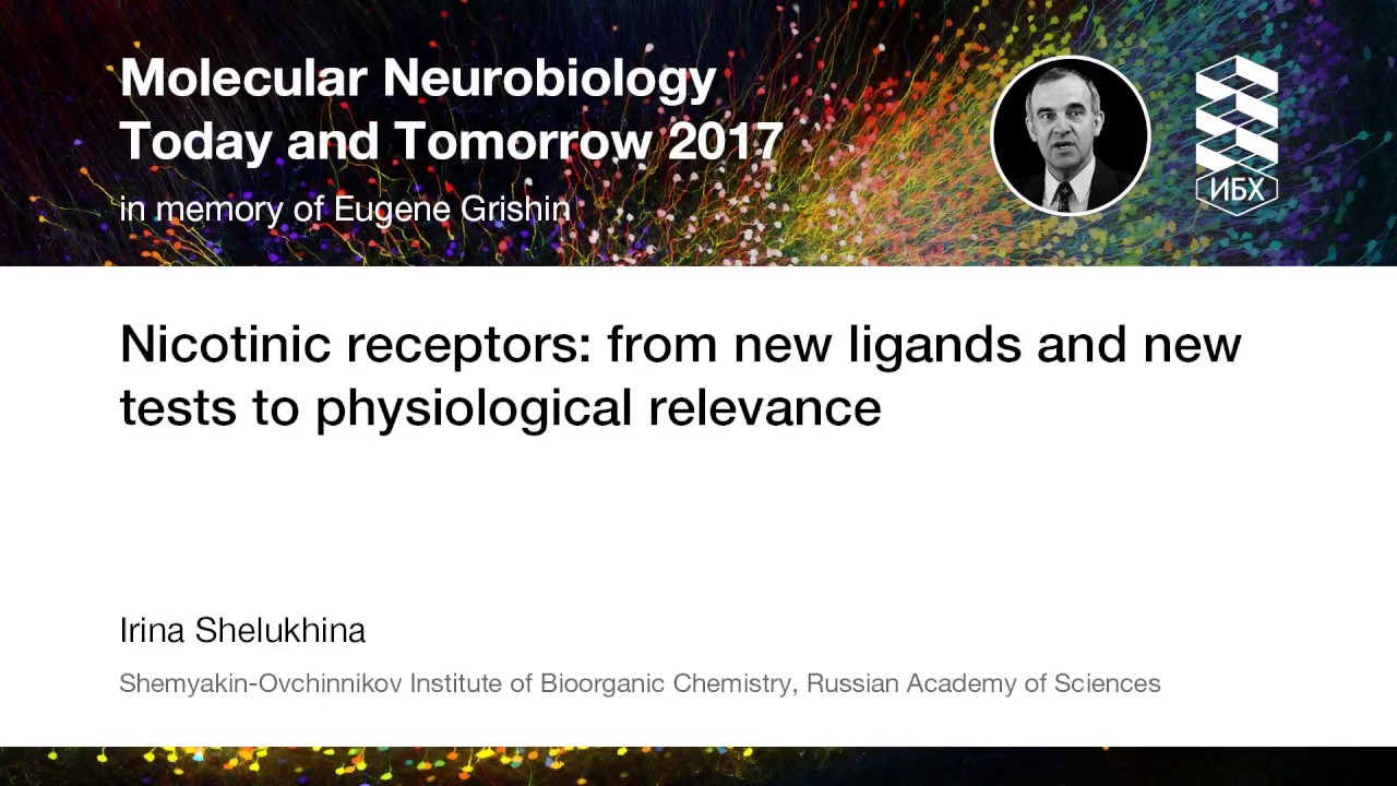 Nicotinic receptors: from new ligands and new tests to physiological  relevance