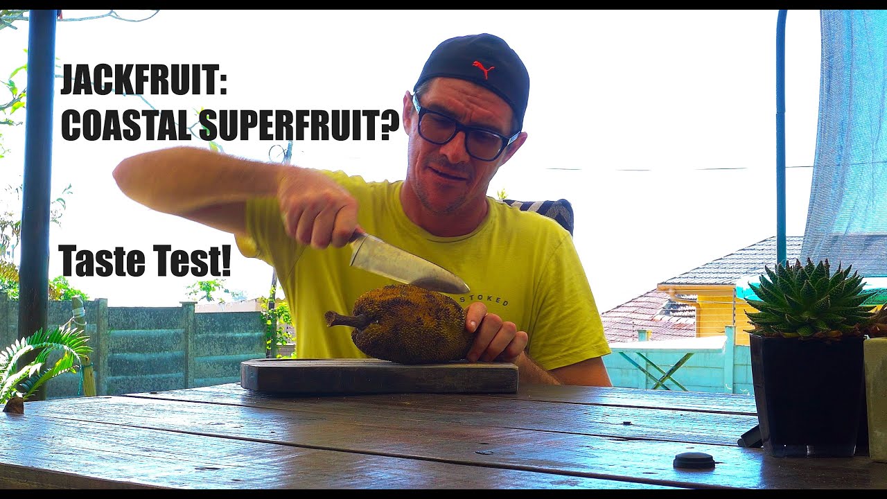 Jackfruit Taste Test! 🍈🌴 The Ultimate Coastal Superfruit?