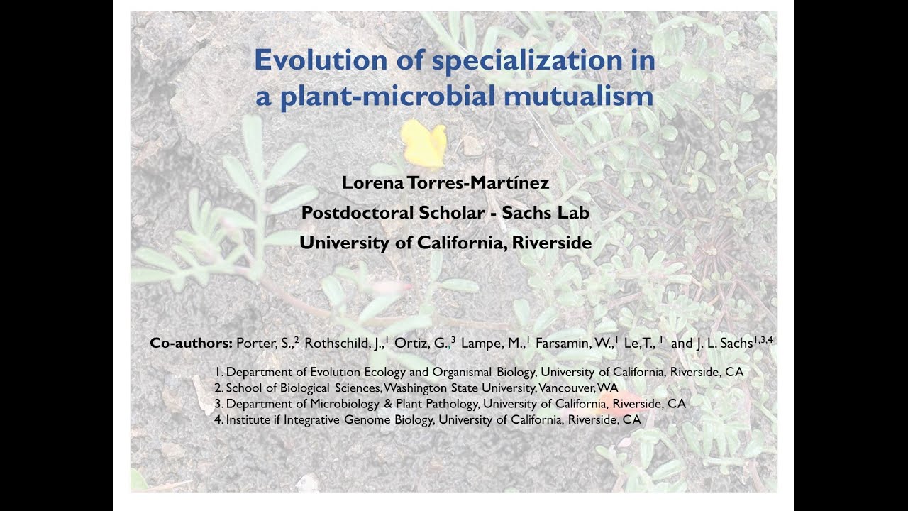 Rapid evolution of specialization in a plant-microbial mutualism.