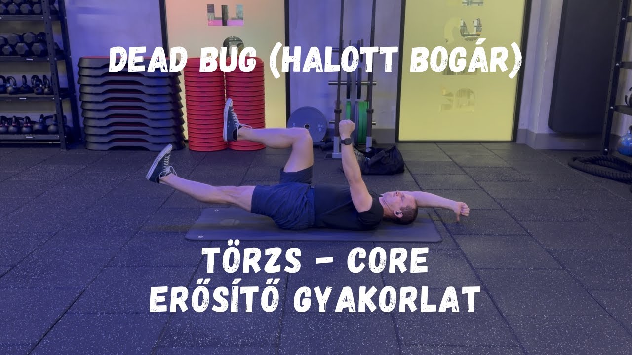 Halott bogár Dead Bug - törzs - core erősítő gyakorlat