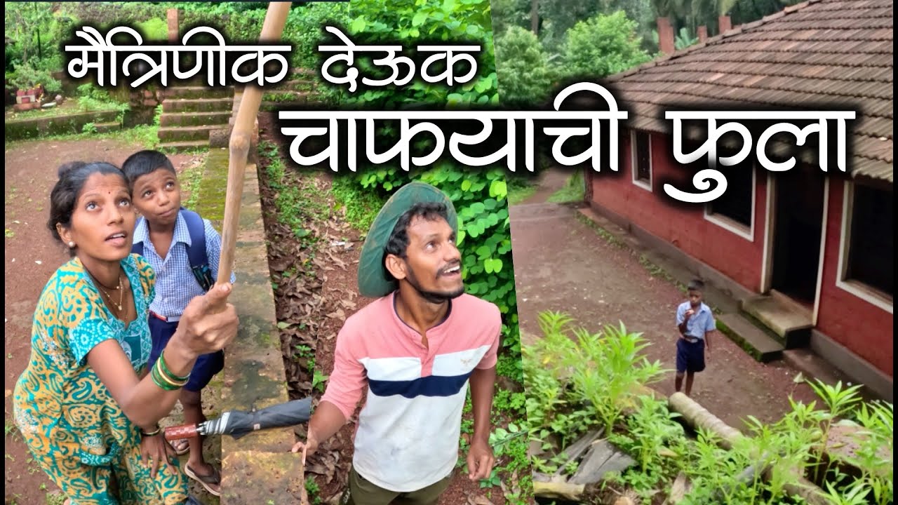 गौरवची आऊस काढता चाफ्याची फुला शाळेत नेऊक नी बाबलो सांगता मैत्रिणीक देऊक🤣❤️ #मालवणी #कोकण #kokanvlog