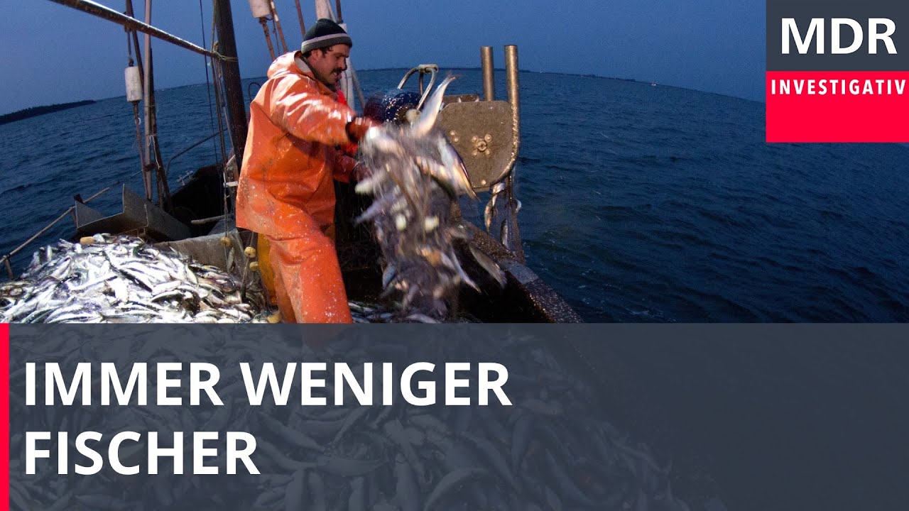 Immer weniger Ostsee-Fischer