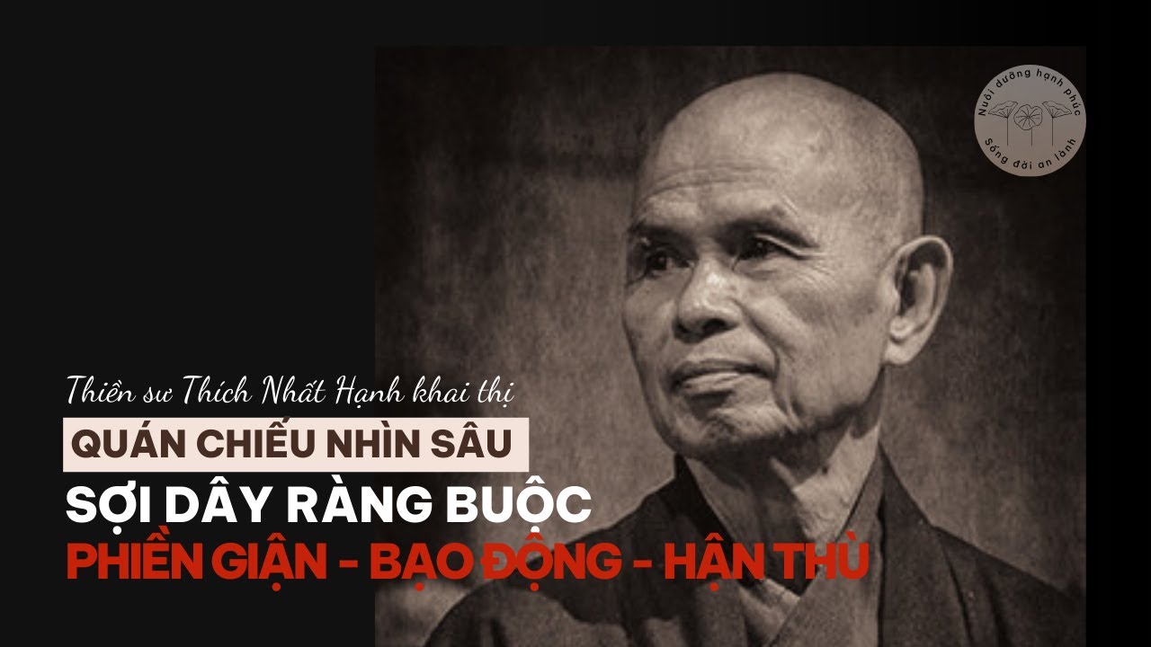 Qu&aacute;n chiếu chuyển h&oacute;a BẠO ĐỘNG, HẬN TH&Ugrave; | 5 Ph&uacute;t ngồi thiền với Thầy #thichnhathanh