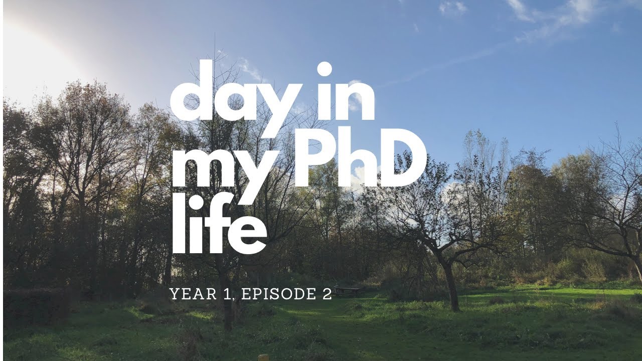day in my life as PhD student (Year 1, ep.2) || #phdvlog #netherlands #pelajarindonesia