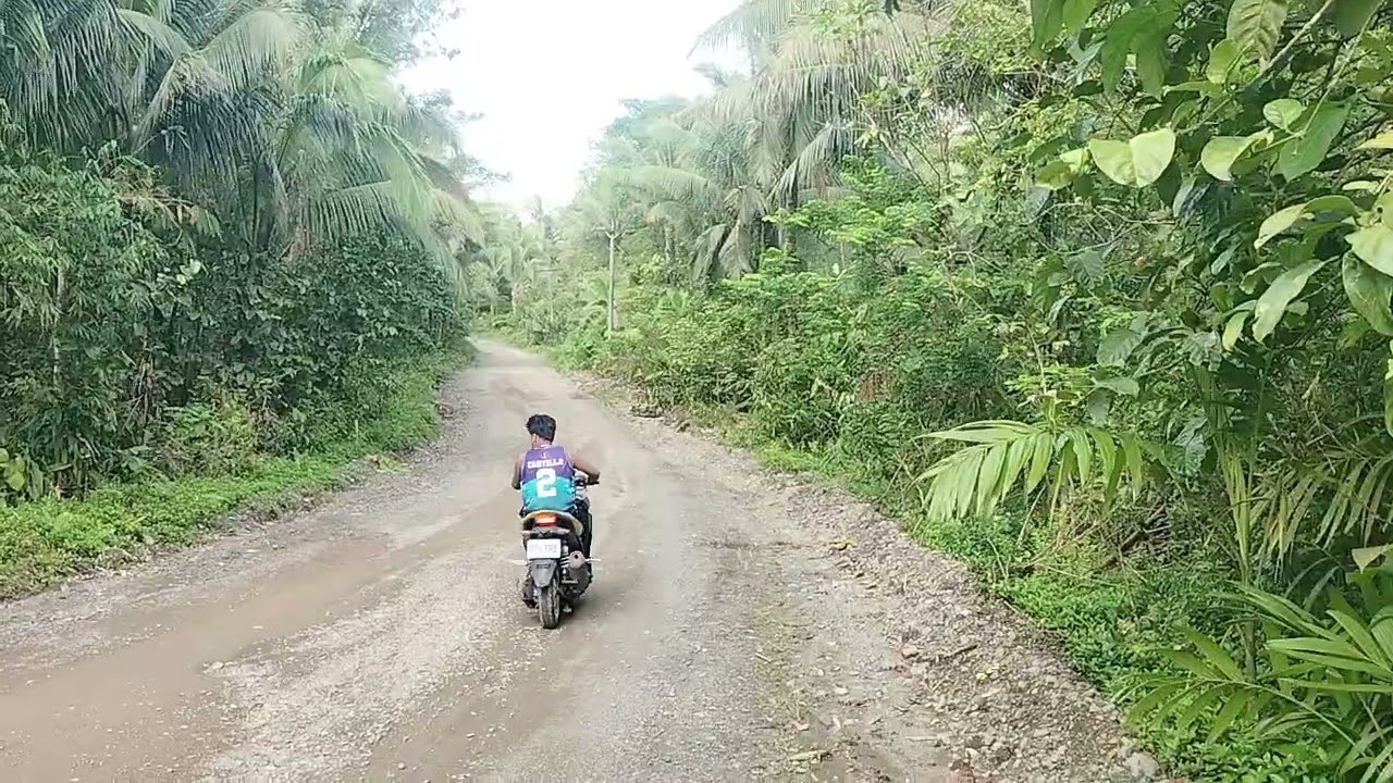 Part 3,7 hectares title 270 per sq meter quezon pls call Eduardo Eddie 09544178006 09230232341