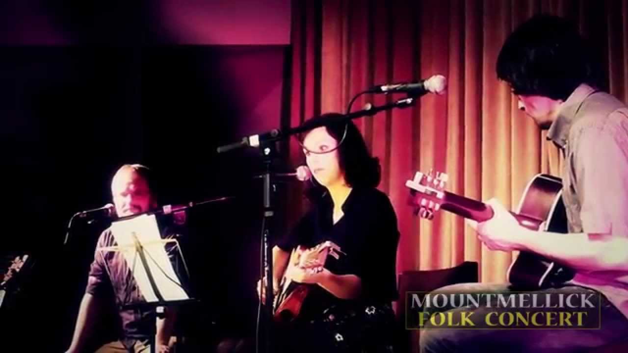 Elaine Lambe - Trouble In Our Fields (Nanci Griffith cover) - Mountmellick Folk Concert 2014