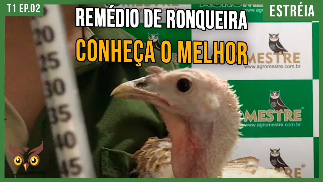 REMÉDIO para RONQUEIRA SINGAMOSE Em GALOS e GALINHAS