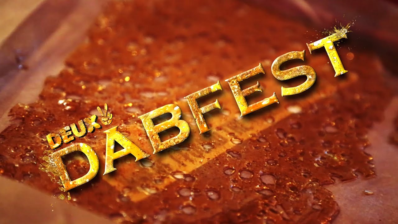 Dabfest Deux