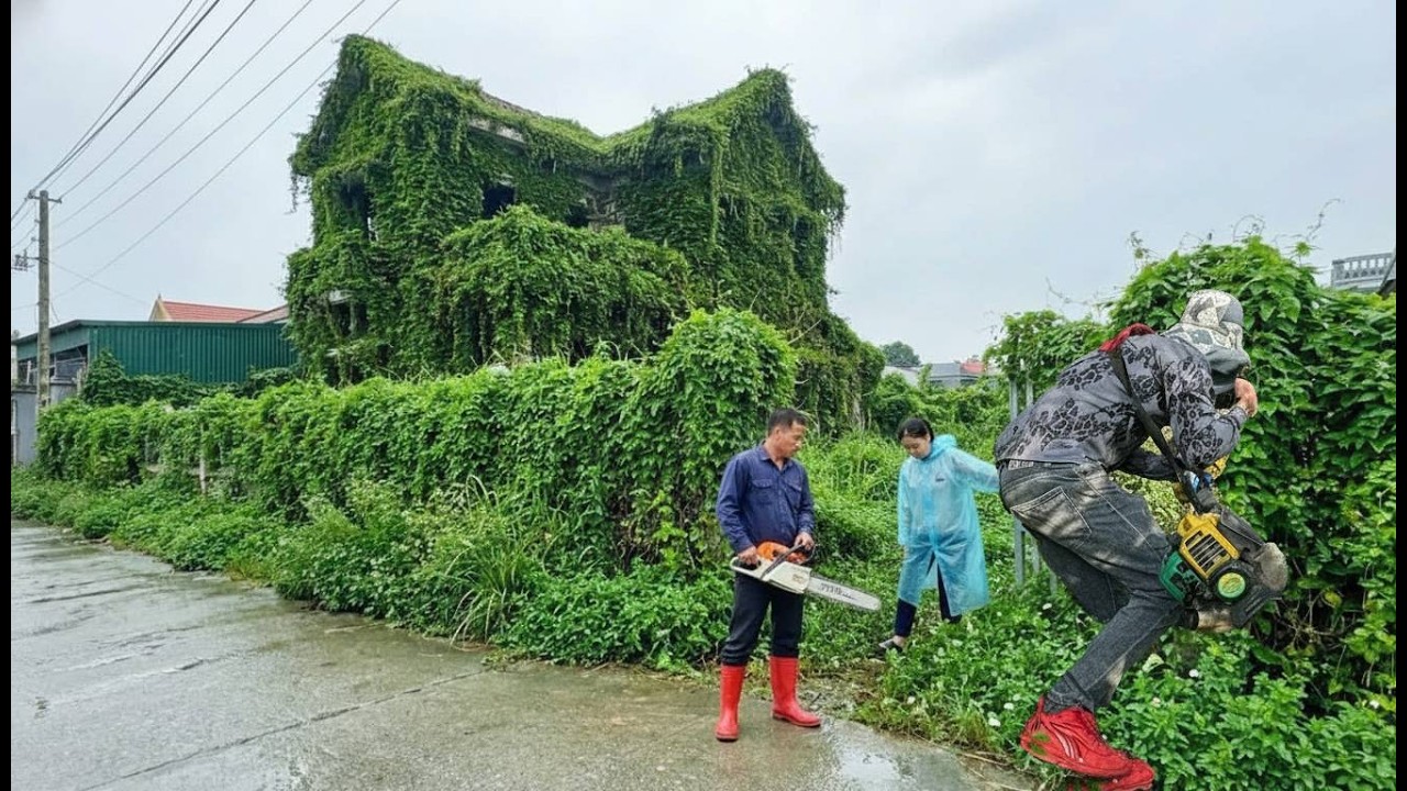 Nature has swallowed up the house; the rescue operation involves removing weeds and vines.