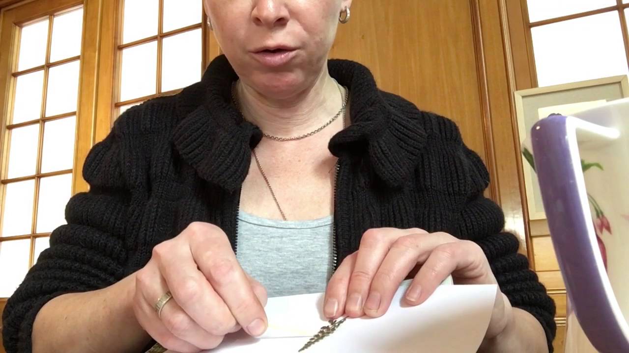 Посев папоротников мастер-класс часть первая.