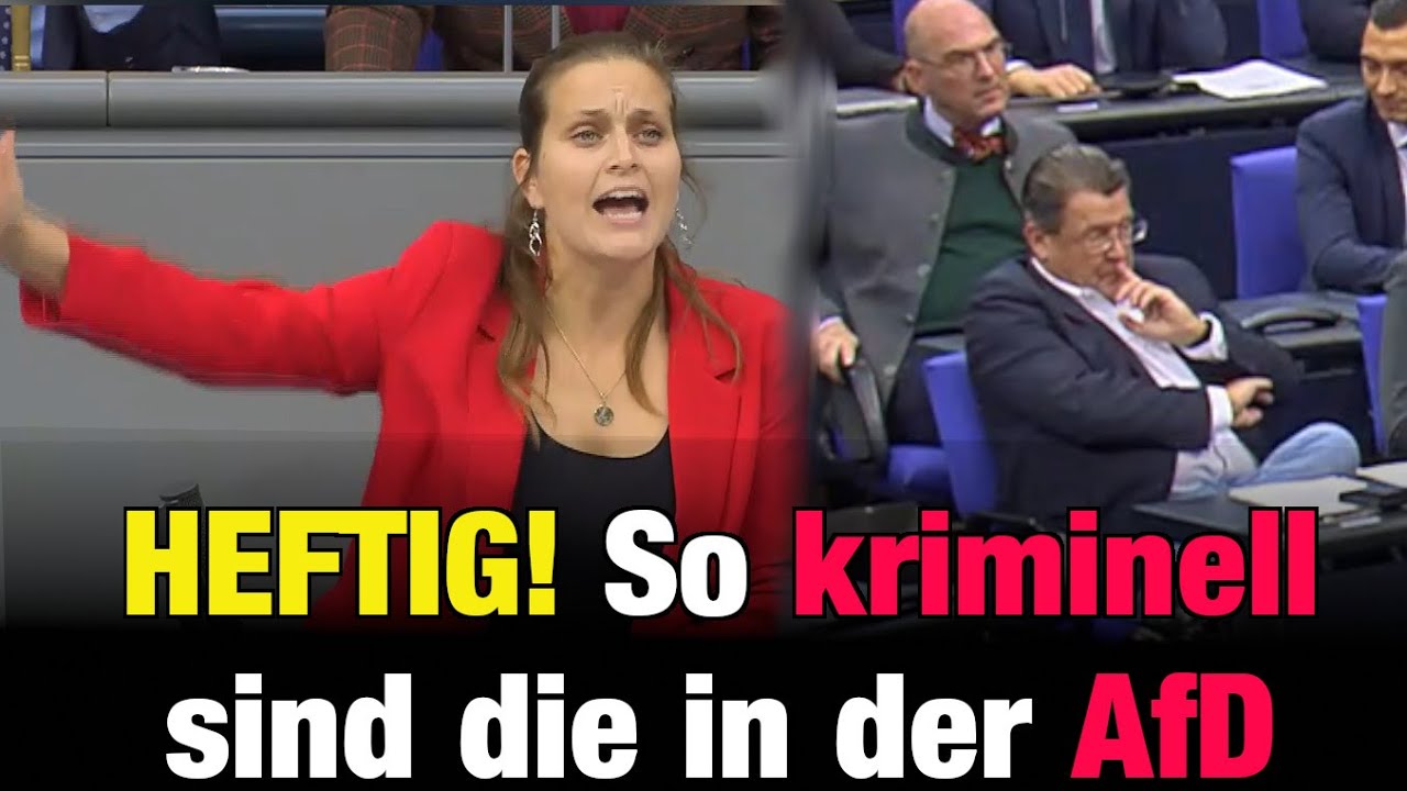 AfD tobt und eskaliert 😮 So KRIMINELL sind die in der AfD 10.10.25