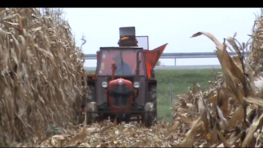 IMT 539 & SIP Tornado 40 Picking Corn