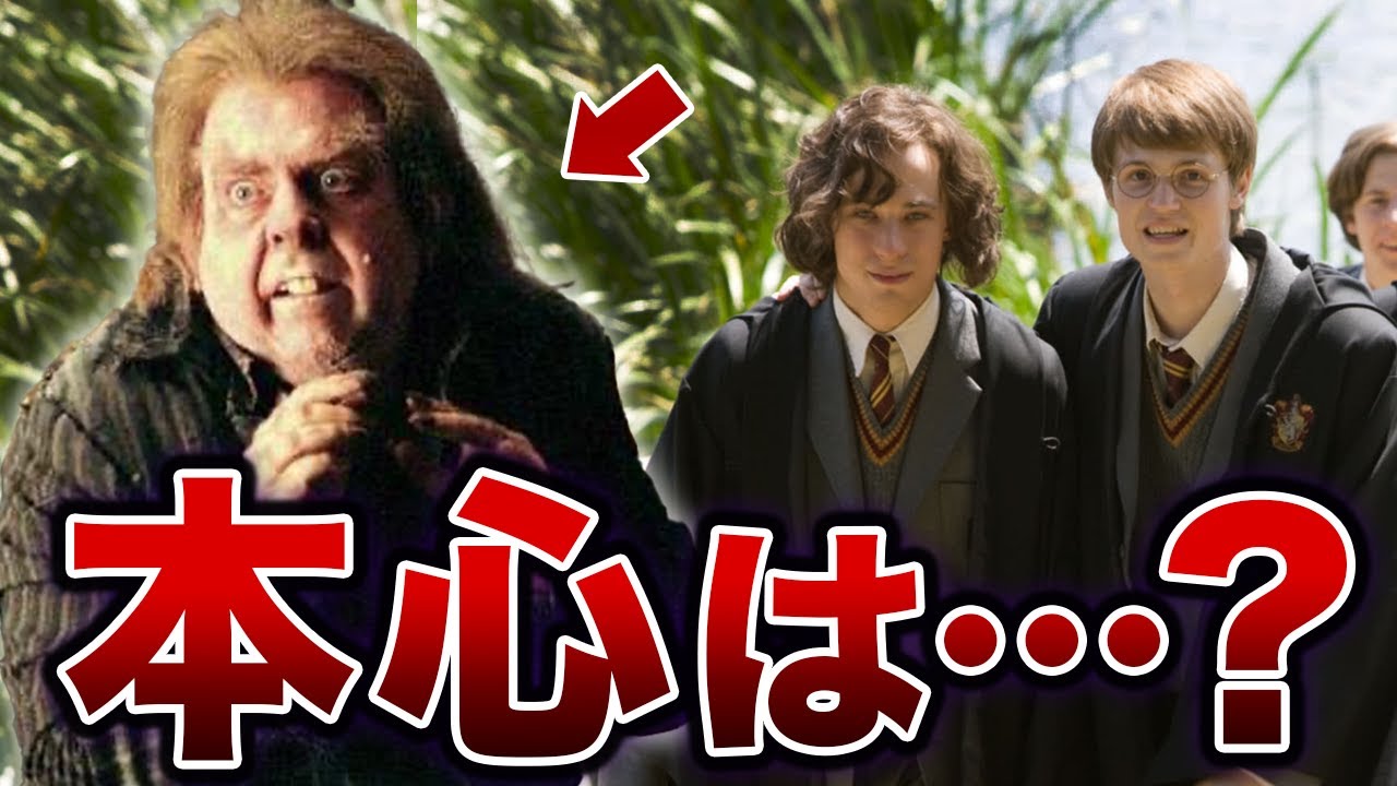 ジェームズとピーターは本当に親友同士だったのか…？【ハリーポッター】