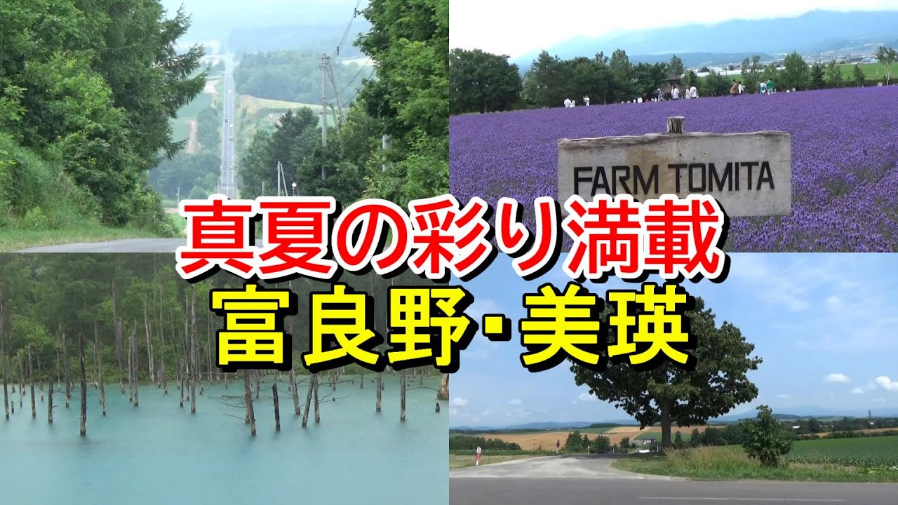 【ファーム富田再び】夏の富良野・美瑛を観光【青い池・セブンスターの木・十勝岳望岳台など】
