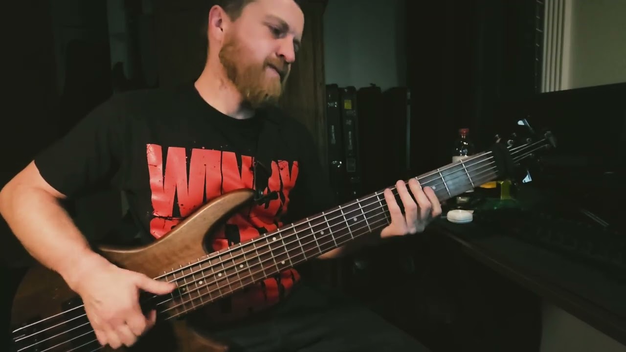Certian shade of green - Incubus bass cover 