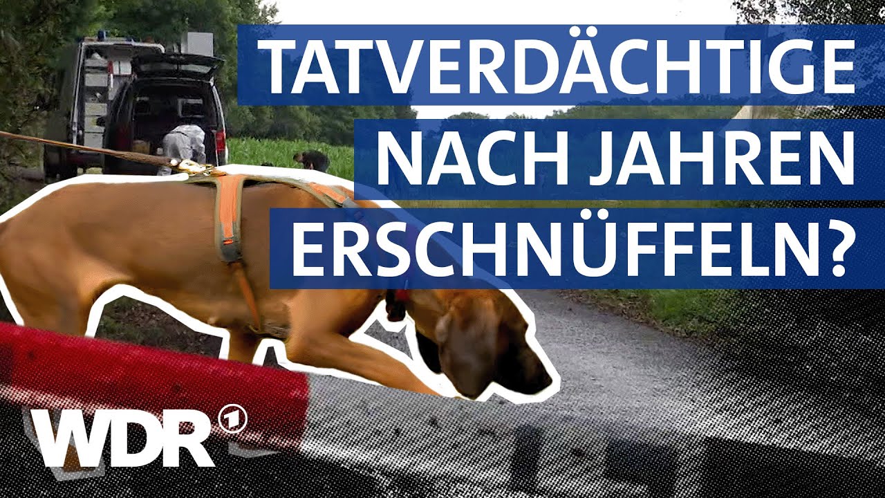 Kritik an Einsatz privater Mantrailer-Hunde mit 