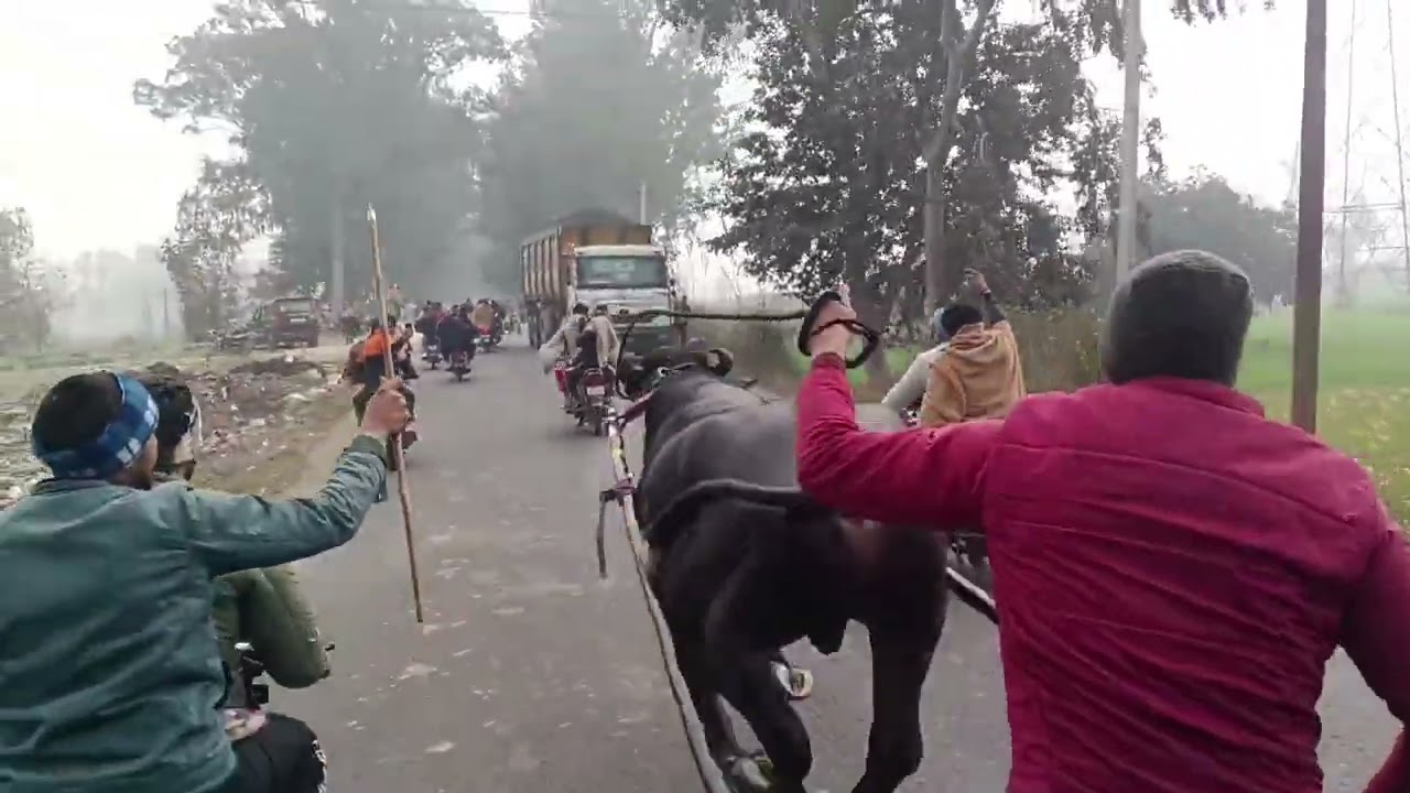 Rakshit dhirahedi 1km jhota race 