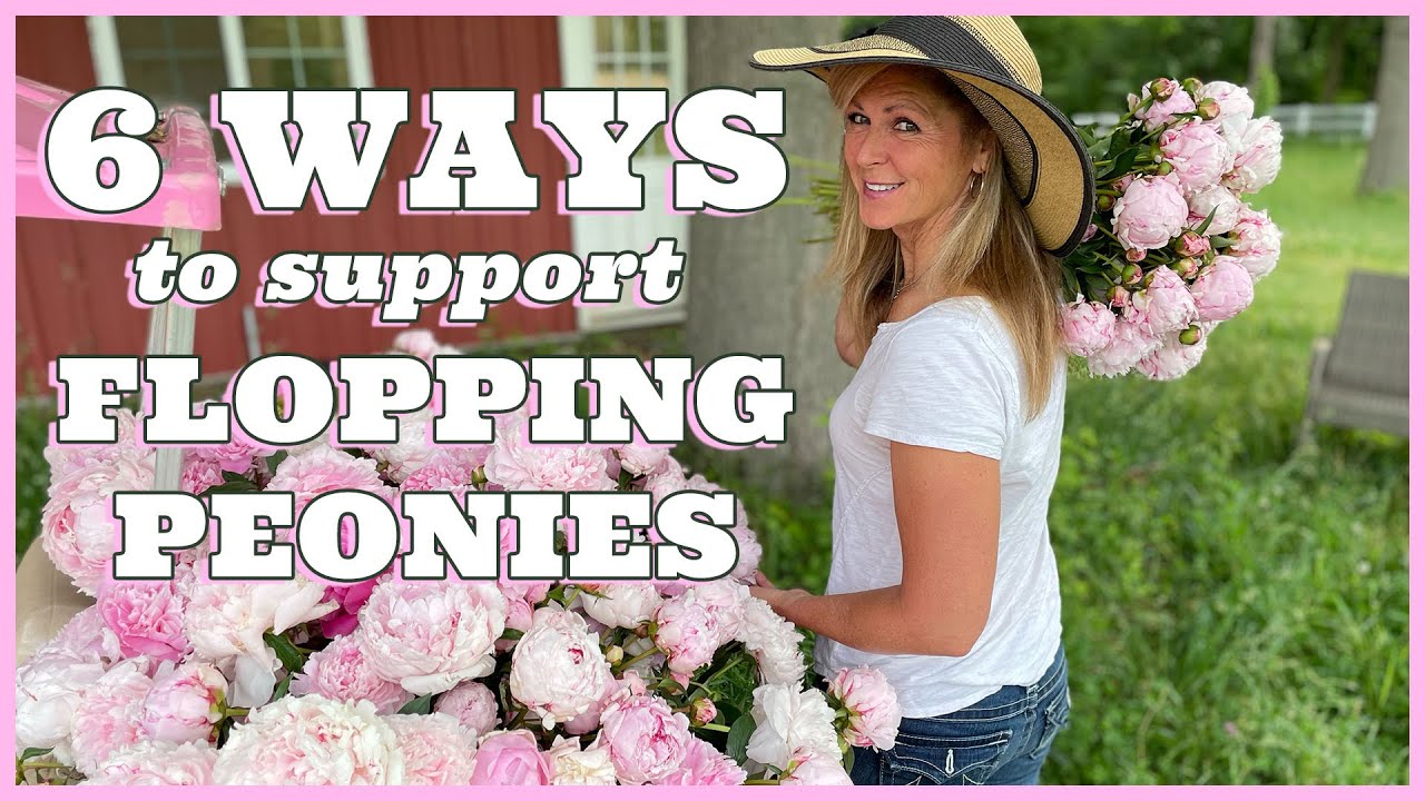 6 Ways to Support Flopping Peonies