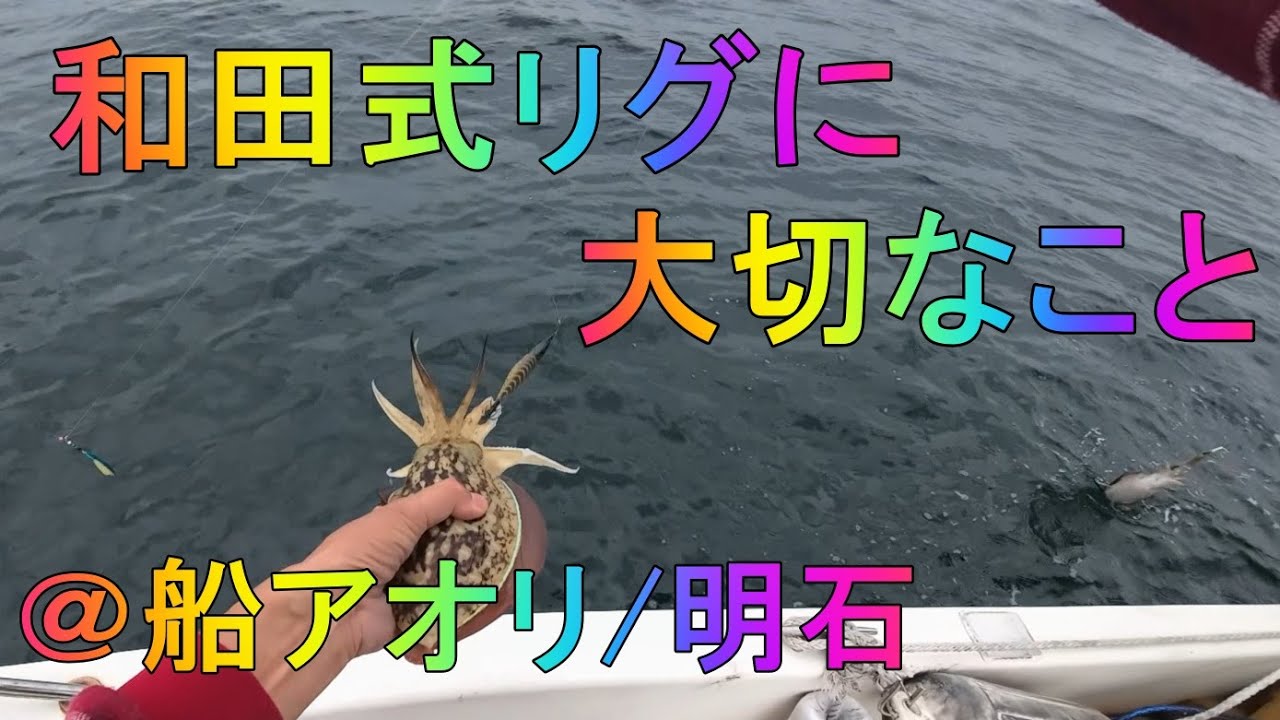 和田式船アオリ仕掛けでアオリイカを釣る