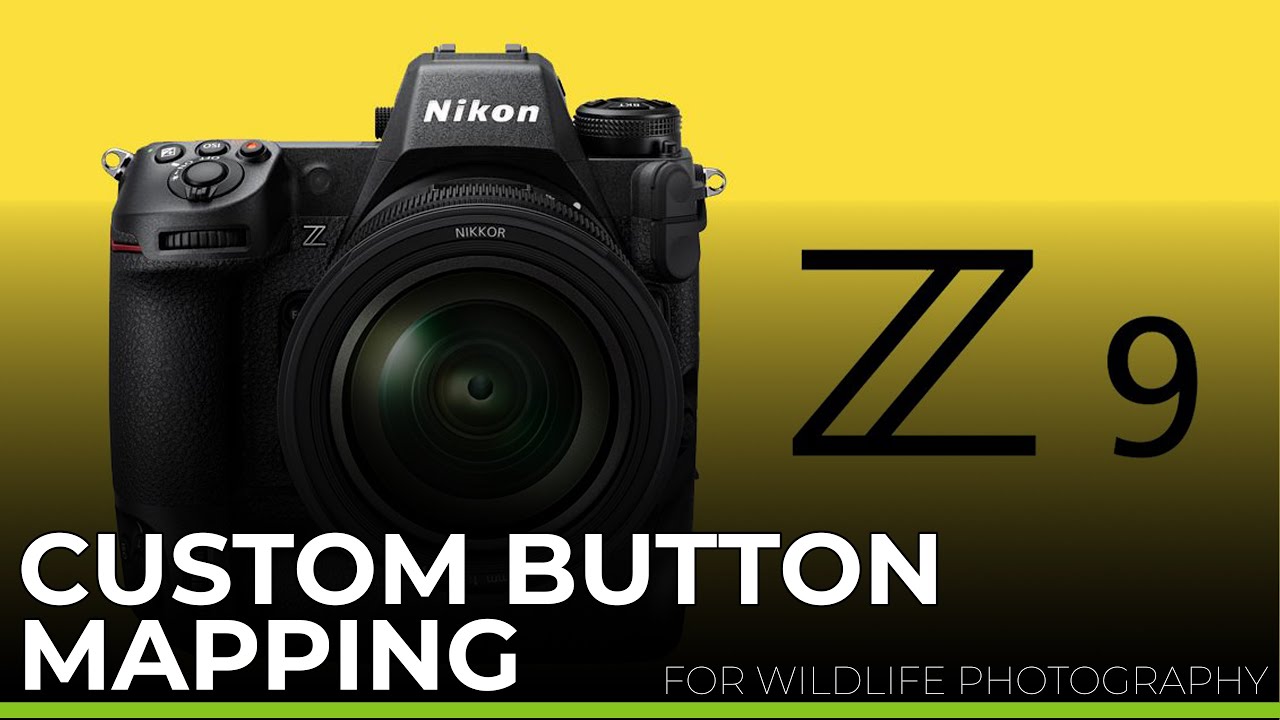 Nikon Z9 CUSTOM button mapping for wildlife photography