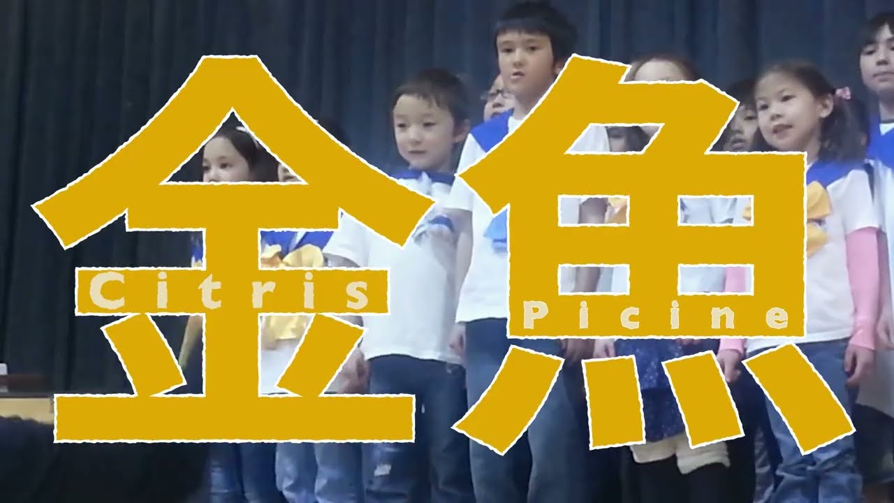 Citris Picine: A film about Bicultural Identity