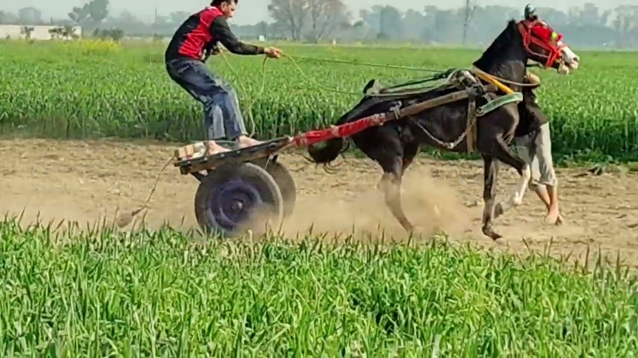 ਮੇਲਾ ਚੋਕੀਆ ਜਗਤਪੁਰ ਖੇਡ ਮੇਲਾ 