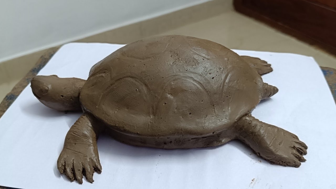 Clay Modelling Tortoise🐢 For LP Section