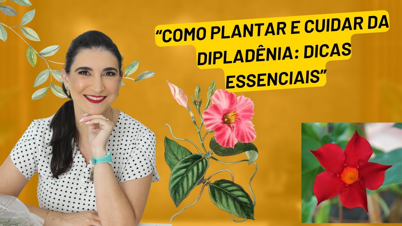 Como Plantar e Cuidar da Dipladênia: Dicas Essenciais