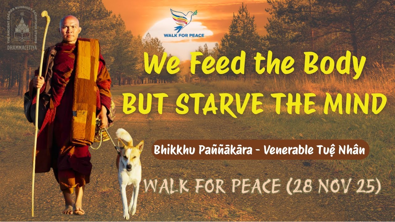 We Feed the Body BUT STARVE THE MIND | Dhamma Talk | WALK FOR PEACE | Venerable Tue Nhan | 28 Nov 25