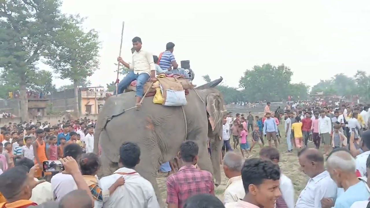 Kansh mela 8 9 25   Love official ❤️ 💖 ♥️ 💕 💓 💗 ❤️ 💖 ♥️ 💕 💓 💗 ❤️ 💖 ♥️ 💕 💓 💗 ❤️ 💖 ♥️ 💕 💓 💗 ❤️ 💖 ♥️ 