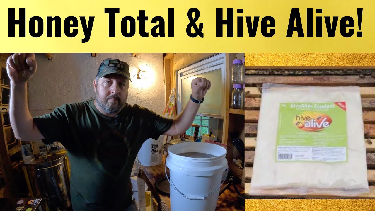 The Final Honey Extraction of 2022 | Hive Alive Announcement ! !