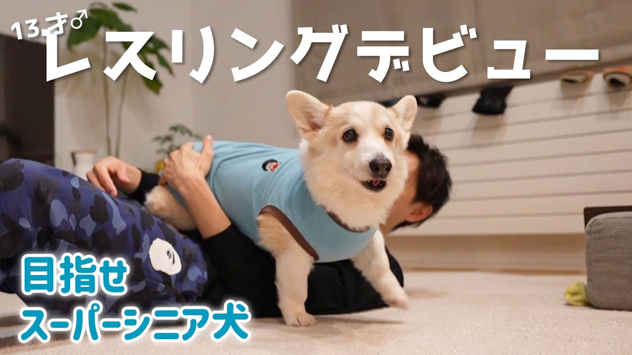 13才♂ レスリングデビューしました！
