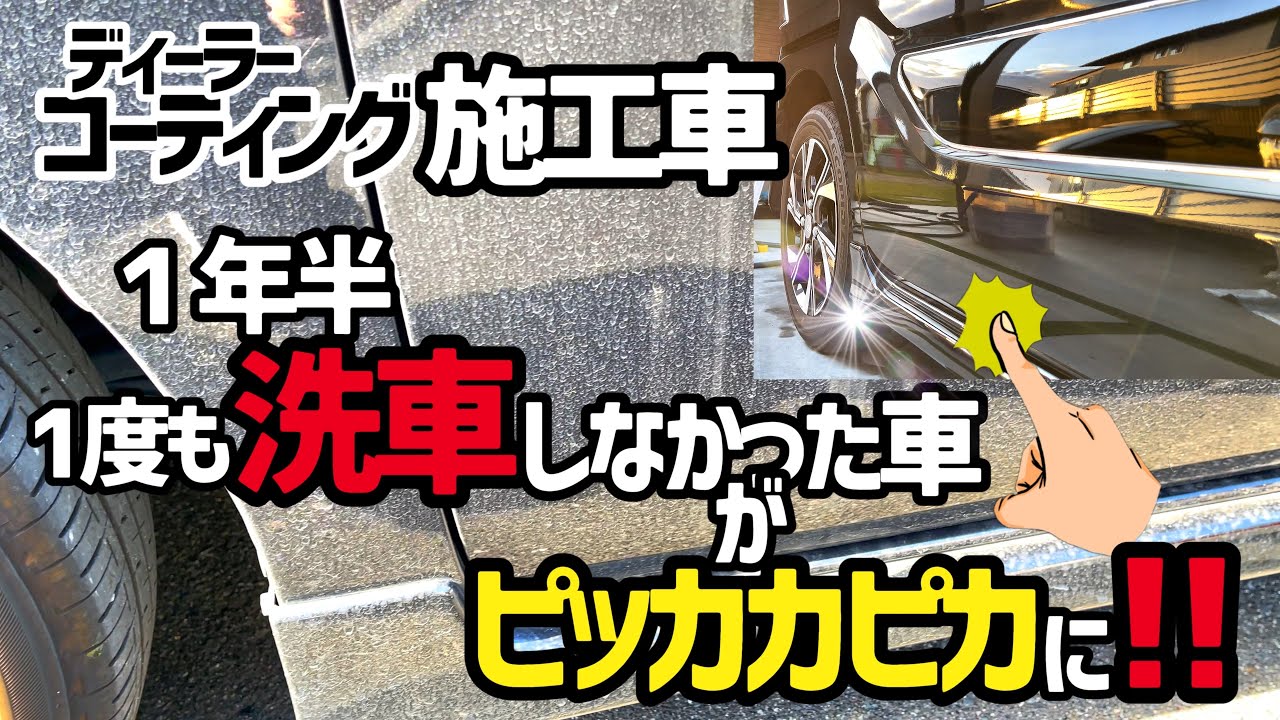 【ディーラーコーティング施工車】1年半洗車しないで青空駐車してるとこうなります‼️安心してぐださい😌全然大丈夫です‼️