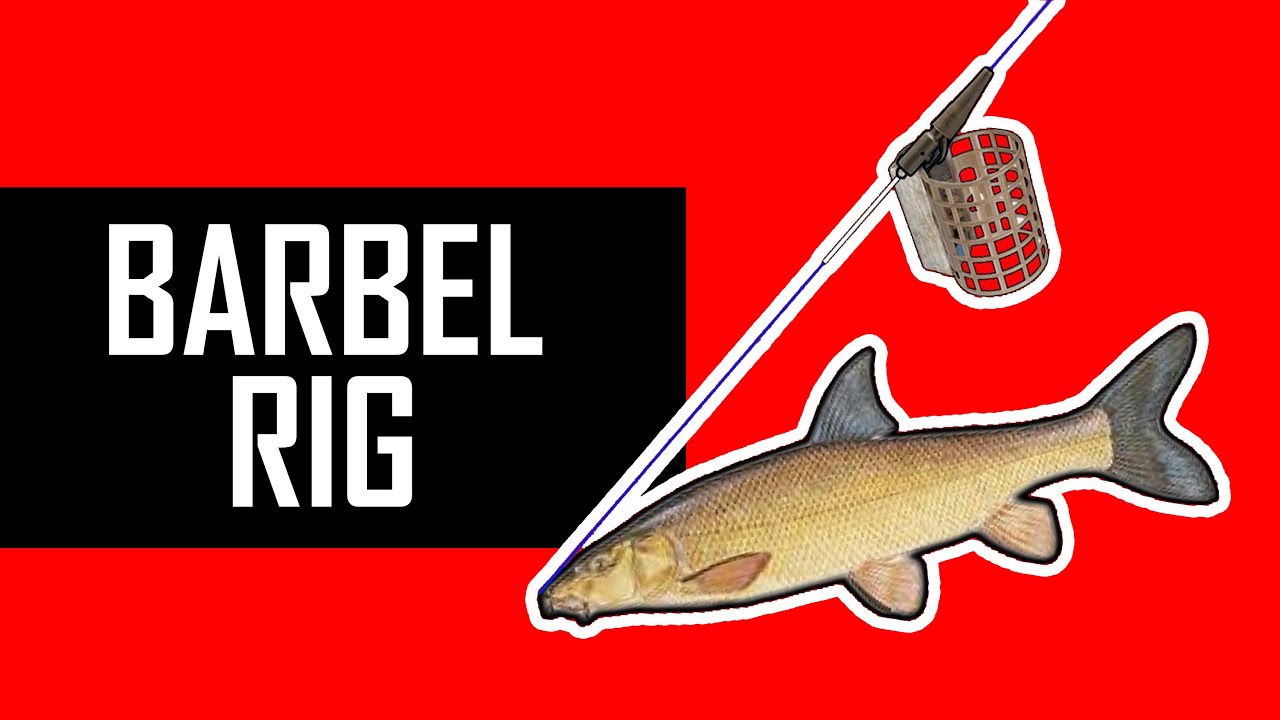 Как завязать RIG для BARBEL?