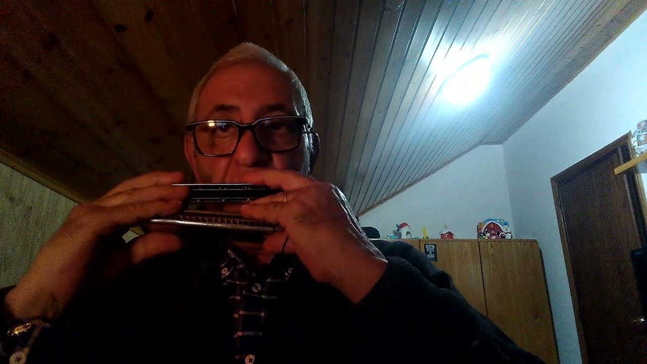 La Donna Cannone di Francesco De Gregori, armoniche tremolo Bravi Alpini e Suzuki👋