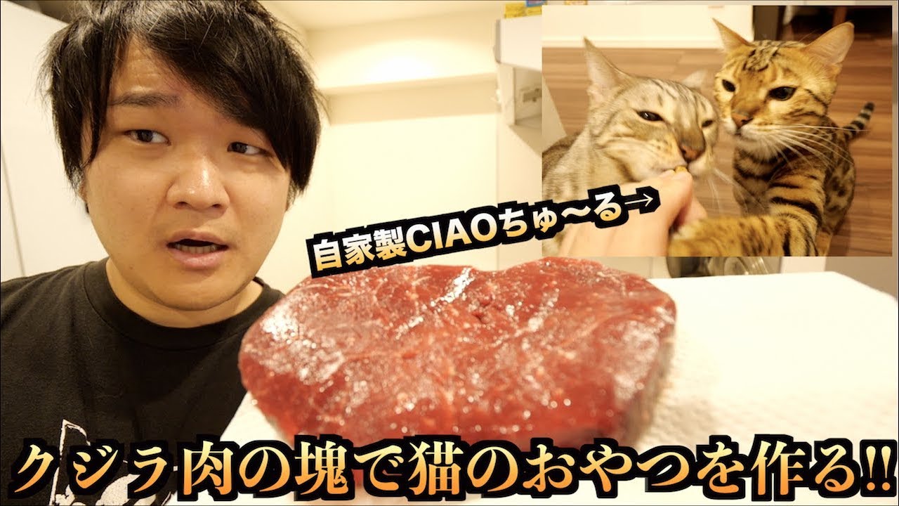 ルトとロゼのためにクジラ肉で自家製CIAOちゅ〜るを作る！！