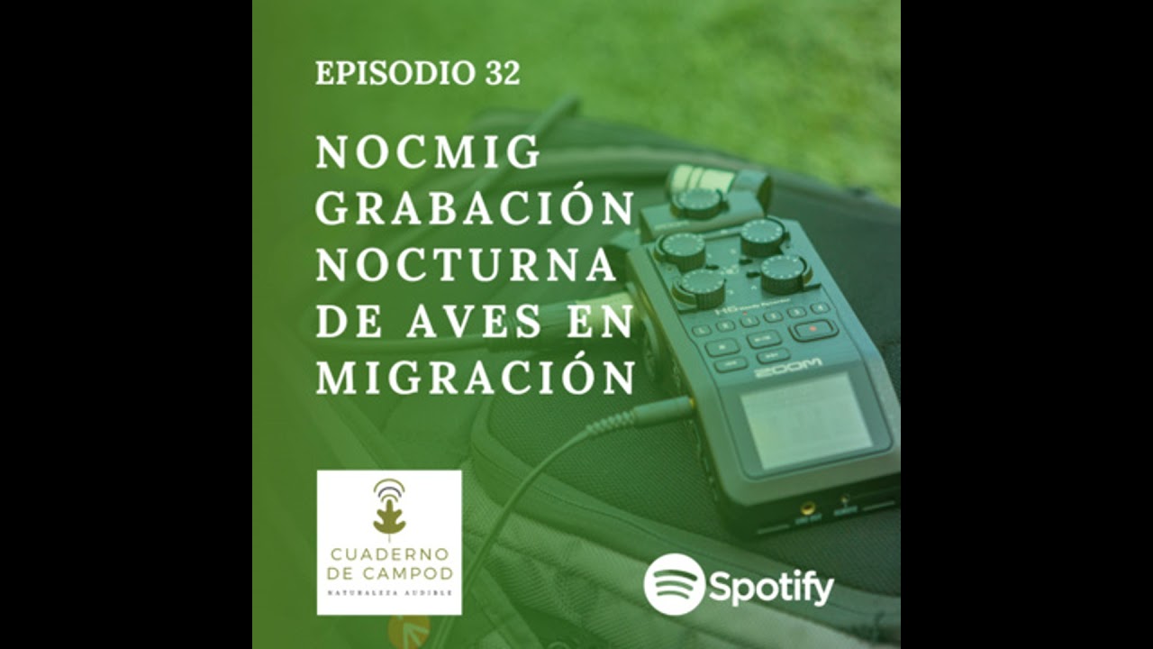 Nocmig, grabación nocturna de aves en migración. #32
