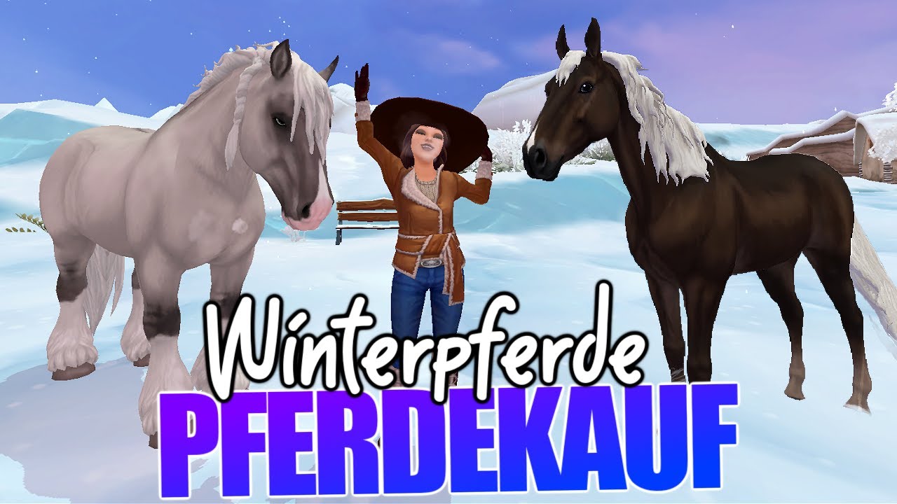 ich kaufe die WINTERPFERDE 2️⃣0️⃣2️⃣4️⃣  Earik & Hjortensia 🐴 Star Stable Pferdekauf SSO