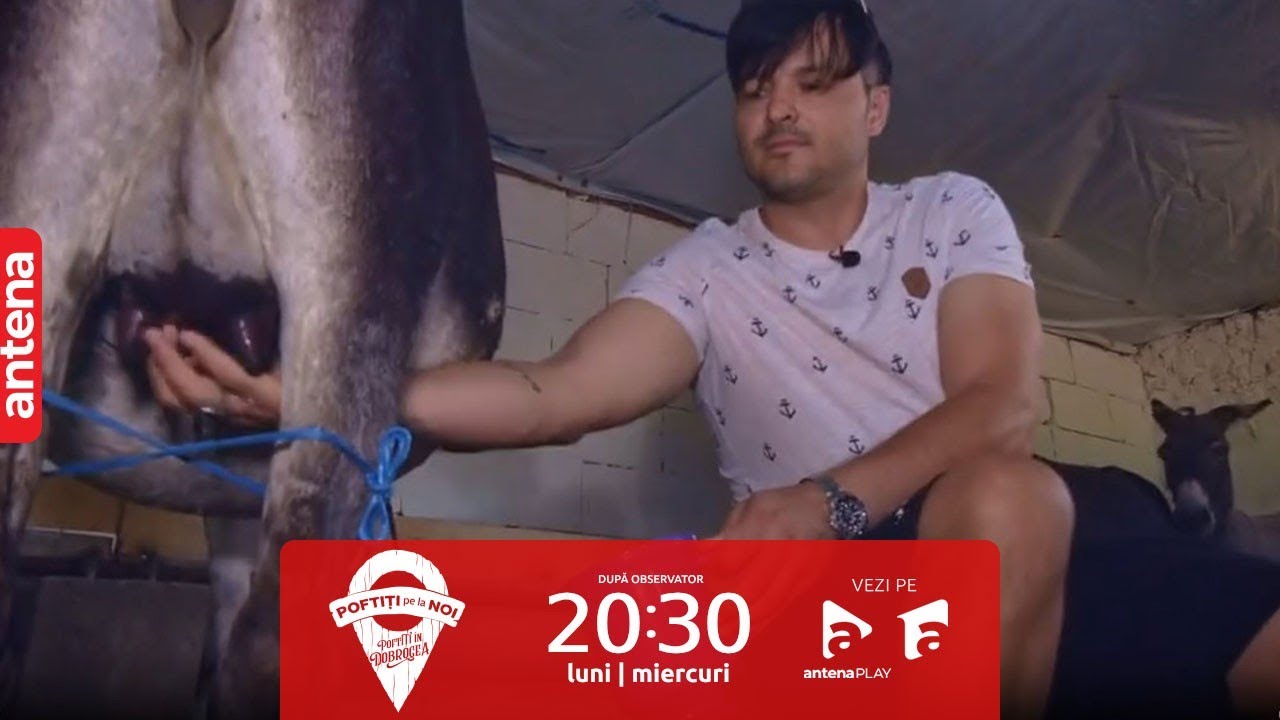 Vedetele, puse să mulgă măgărița. Cum s-au descurcat